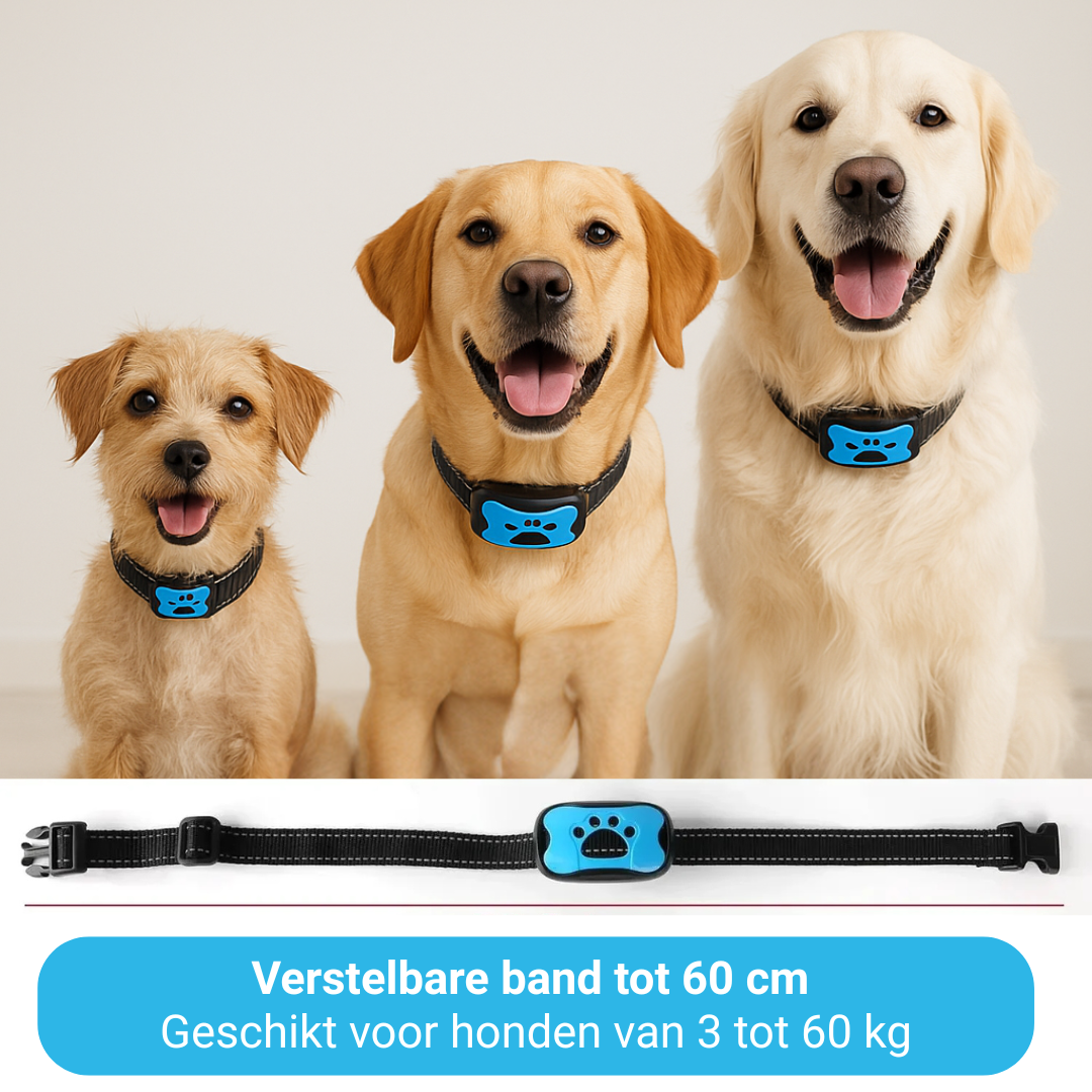 StilHond™ - Rust in huis, zonder harde middelen.